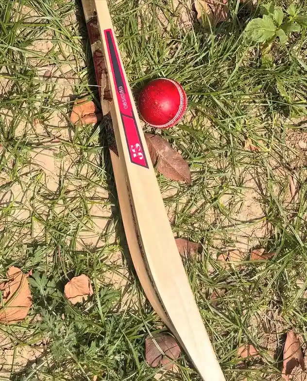 Bat Handle